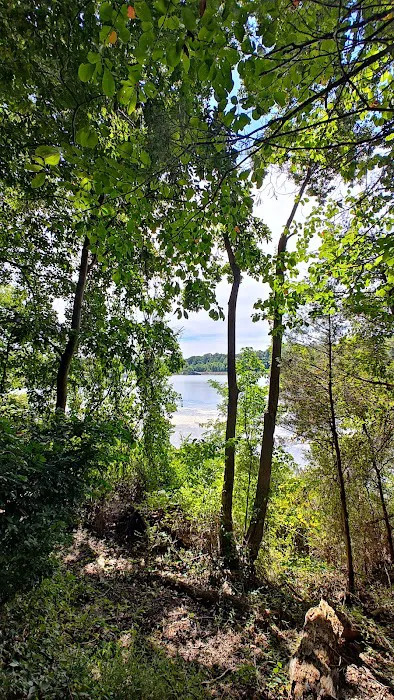 Lake Fairfax Small Group Campgrounds Picture 7