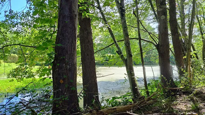 Lake Fairfax Small Group Campgrounds Picture 10