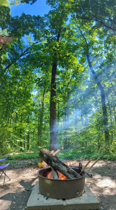Little Bennett Campground Loop A Tent Area Picture 4