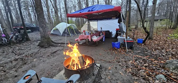 Little Bennett Campground Loop A Tent Area Picture 1