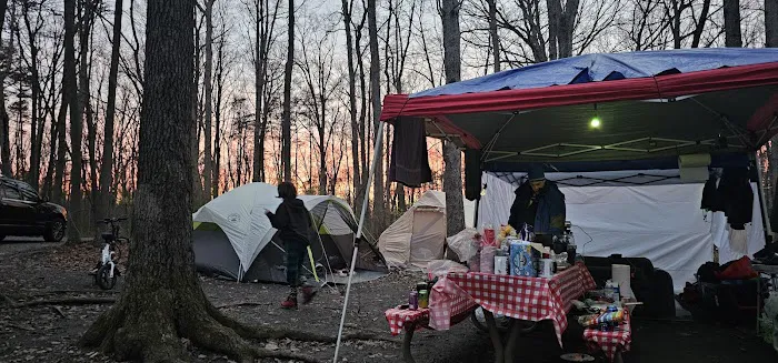 Little Bennett Campground Loop A Tent Area Picture 2