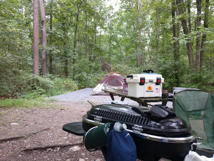 Little Bennett Campground Loop A Tent Area Picture 7
