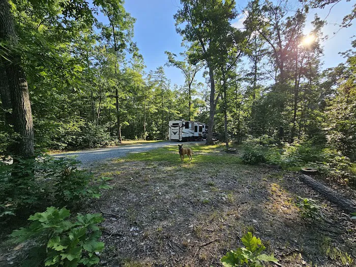Little Bennett Campground Loop A Tent Area Picture 9