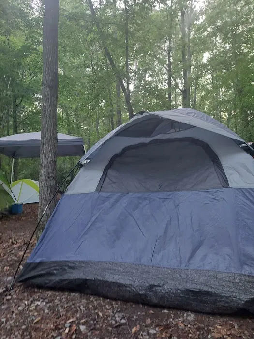 Burke Lake Campgrounds Picture 2