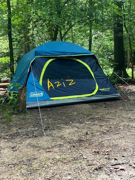 Burke Lake Campgrounds Picture 4