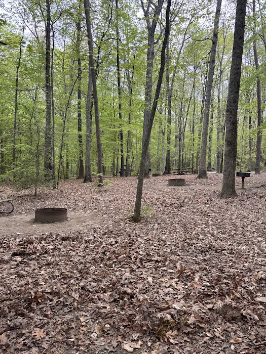 Burke Lake Campgrounds Picture 7