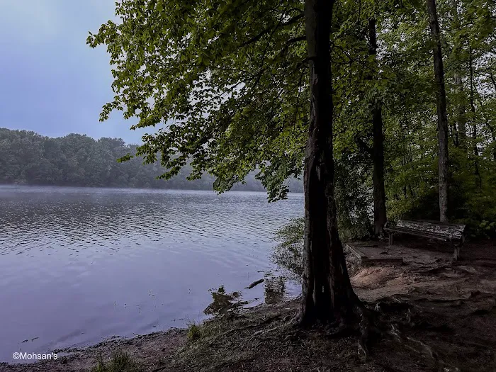 Burke Lake Campgrounds Picture 8