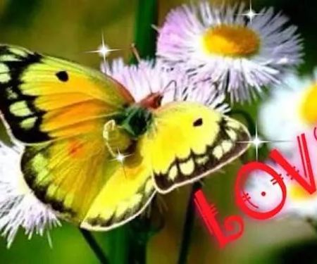 Pleasure Valley Park