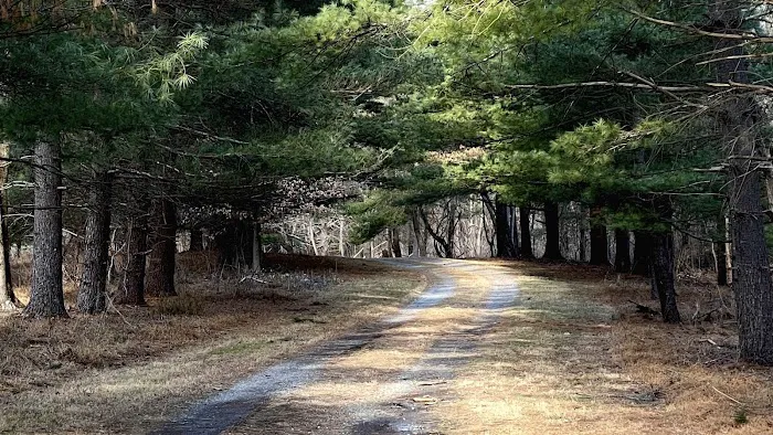CW Camping Picture 4