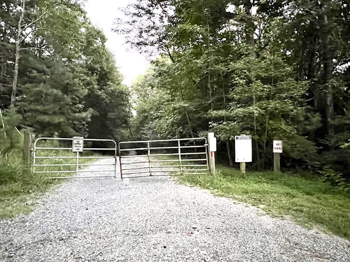 Calvert Cliffs Campground Picture 8