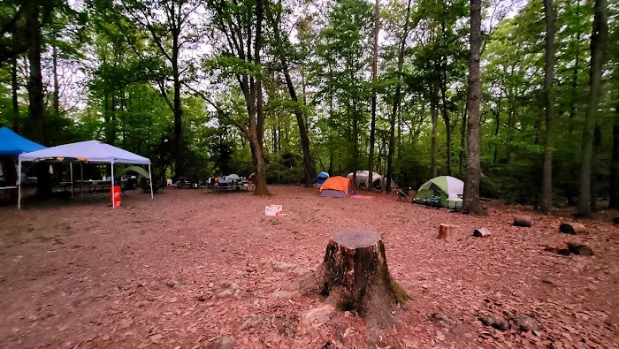 Calvert Cliffs Campground Picture 4