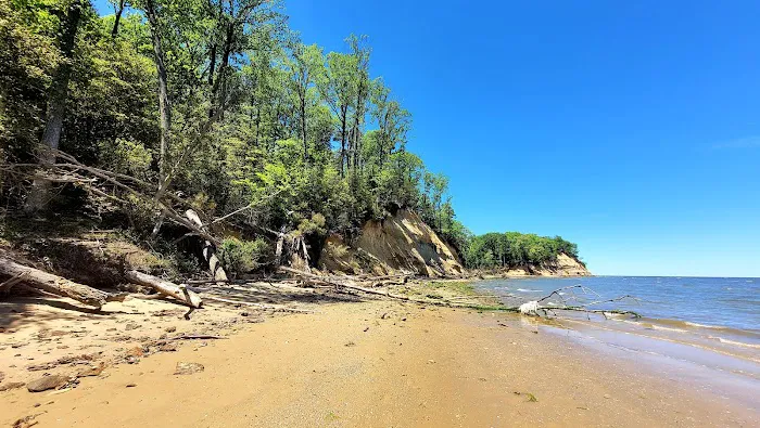 Calvert Cliffs Campground Picture 9