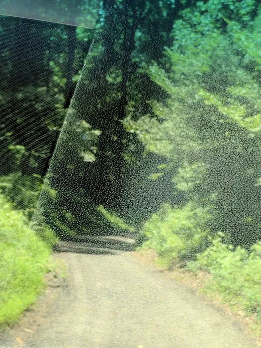 Chesapeake Ranch Estates Campgrounds Picture 8