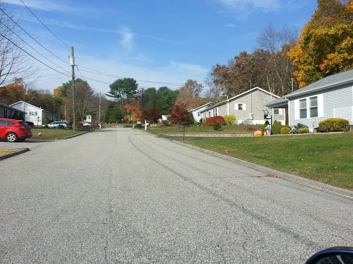 Laurel Heights Picture 6