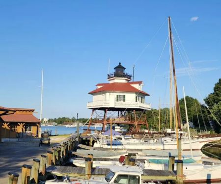 Solomon Islands Camp Ground E