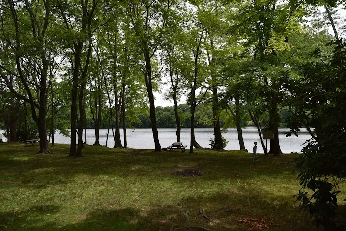 Ross Hill RV Park Picture 7