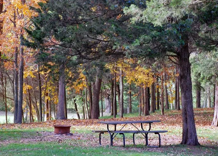 Cedar Lake Campground Picture 10