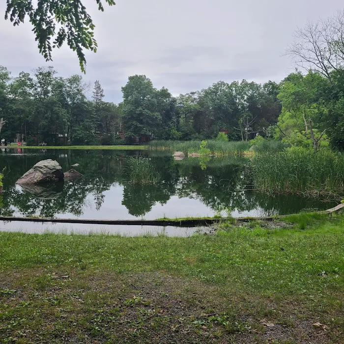 Drummer Boy Camping Resort Picture 8