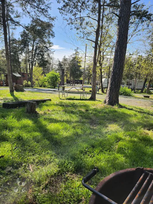 Drummer Boy Camping Resort Picture 9