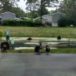 Riverwoods Mobile Home Community