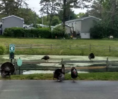 Riverwoods Mobile Home Community