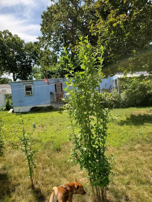Blue Bird Acres Picture 2