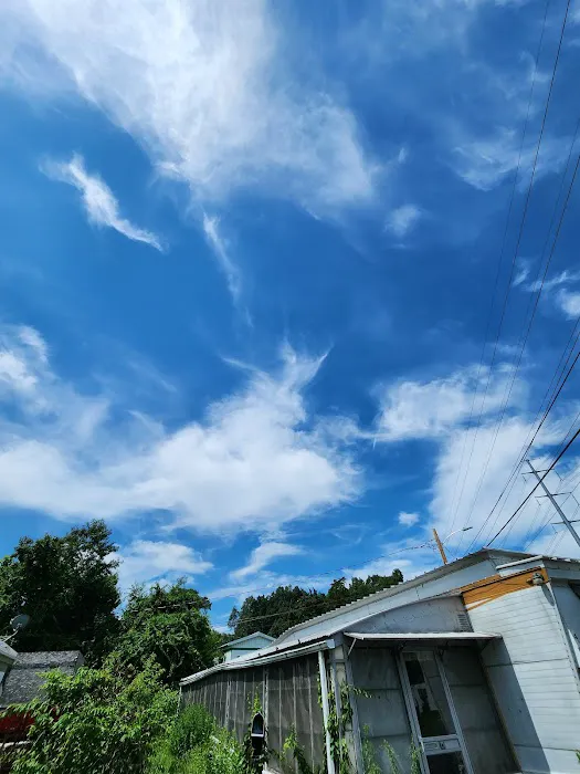 Blue Bird Acres Picture 3