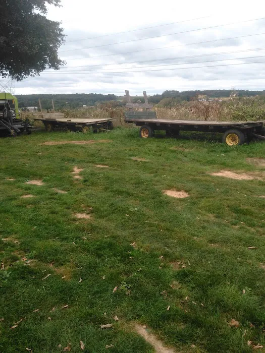 Sunrise Trailer Court Inc Picture 8