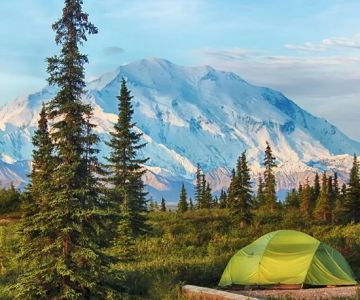 How to Experience Denali National Park and See Mt. McKinley