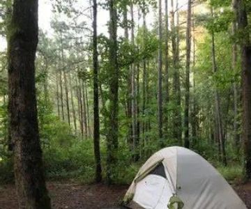 Camping in the Congaree National Park: Exploring South Carolina's Floodplain Forest