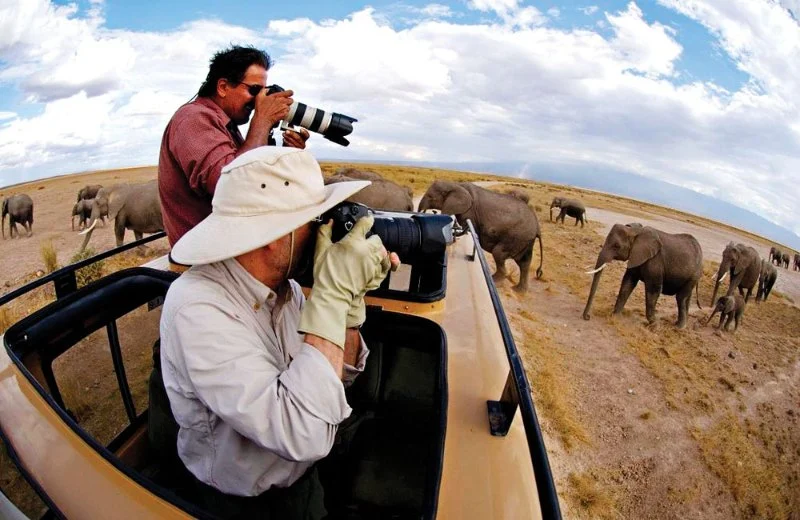 Wildlife Photography Tips for Campers: Capturing Animals Responsibly