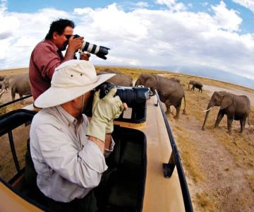 Wildlife Photography Tips for Campers: Capturing Animals Responsibly