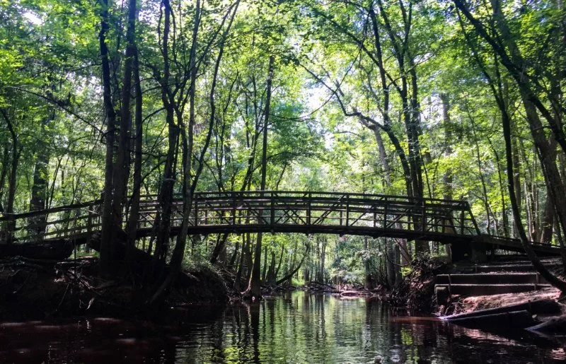 Camping in the Congaree National Park: South Carolina's Floodplain Forest | Camping Cabins