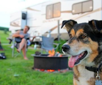How to Find Campgrounds with Dog Parks and Pet Amenities for a Perfect Getaway