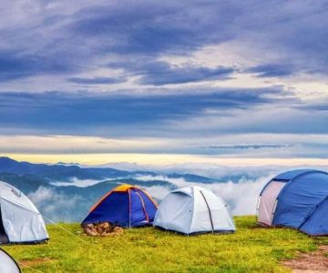 Best Camping Apps for 2024: Navigation, Campground Finder, and Astronomy