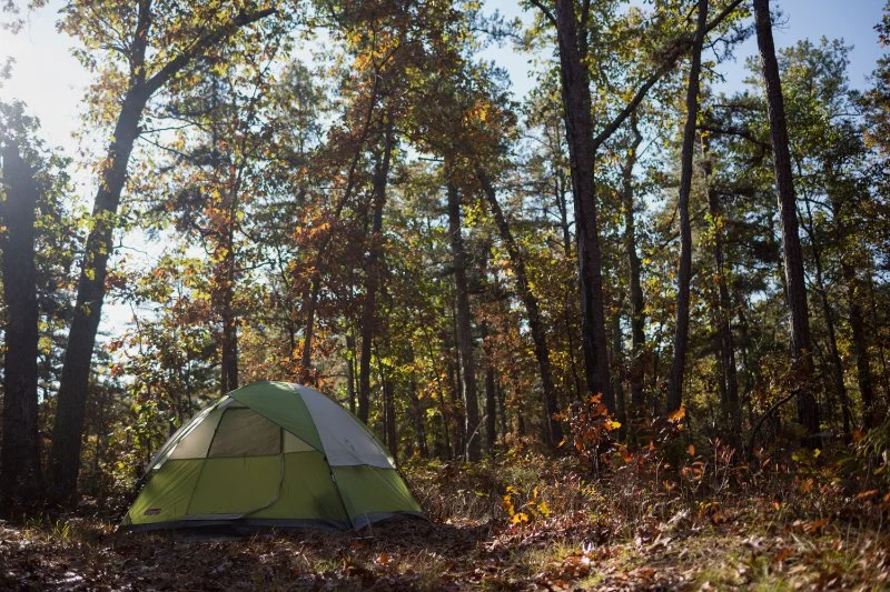 Best Camping in New Jersey Pine Barrens and Jersey Shore