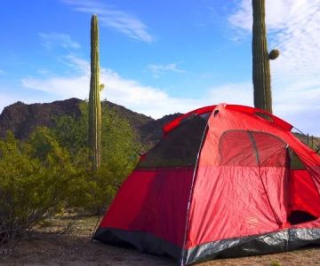 Camping in the Sonoran Desert: Explore Arizona's Saguaro National Park
