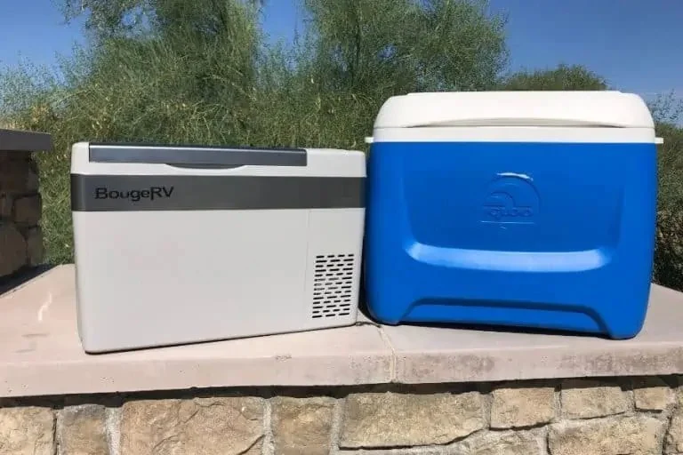 How to Keep Your Food Cooler Safe from Animals While Camping