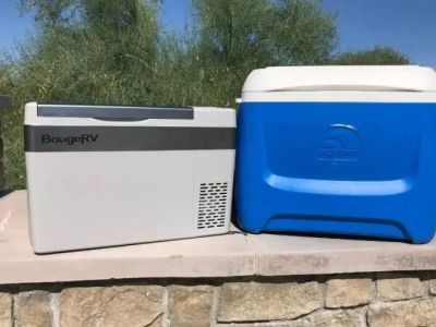 How to Keep Your Food Cooler Safe from Animals While Camping