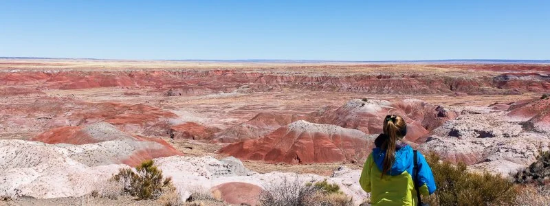 Best Camping in Petrified Forest National Park: Arizona's Fossils