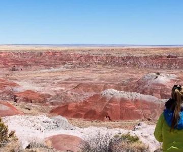 Best Camping in Petrified Forest National Park: Arizona's Fossils