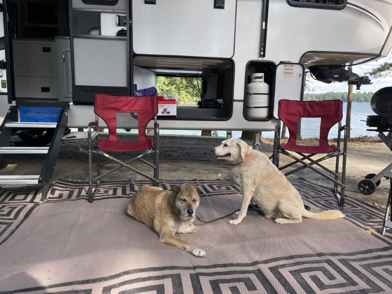 How to Find Campgrounds with Dog Parks and Pet Amenities