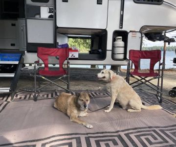 How to Find Campgrounds with Dog Parks and Pet Amenities