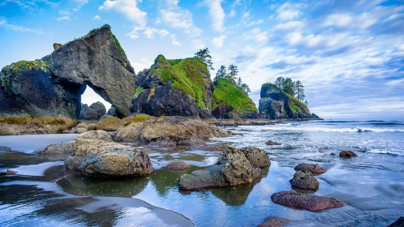 Touring Washington State's Olympic National Park: Rainforests, Beaches, and Mountains