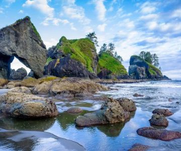 Touring Washington State's Olympic National Park: Rainforests, Beaches, and Mountains
