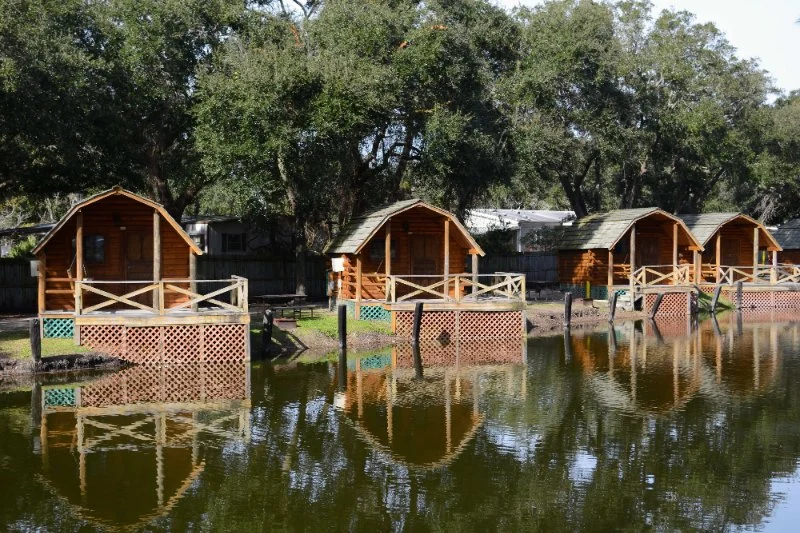 Camping in Florida: How to Deal with Humidity, Bugs, and Alligators