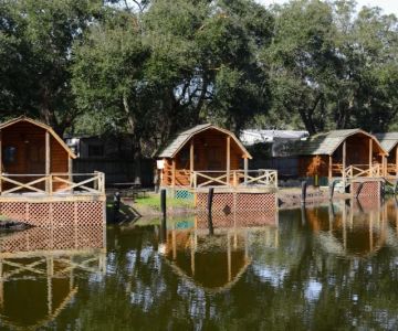 Camping in Florida: How to Deal with Humidity, Bugs, and Alligators