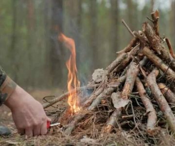The Best Fire Starters for Easy Campfire Lighting