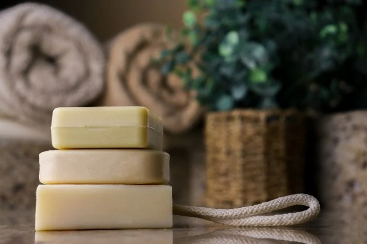 Biodegradable Soap: Is It Really Safe to Use in the Woods?