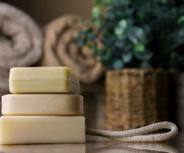 Biodegradable Soap: Is It Really Safe to Use in the Woods?